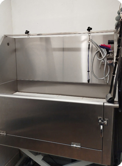 gesunde Pflege für den Hund